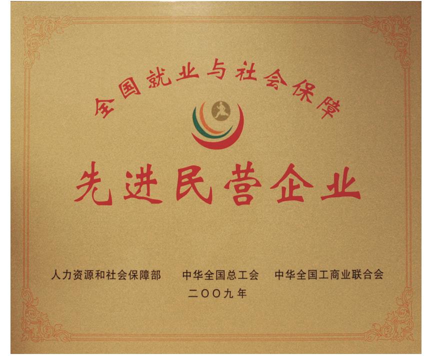 天下就业与社会包管先进民营企业
